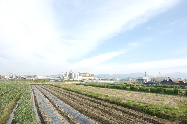 堺市美原区