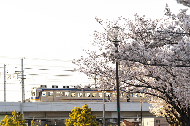 堺市中区